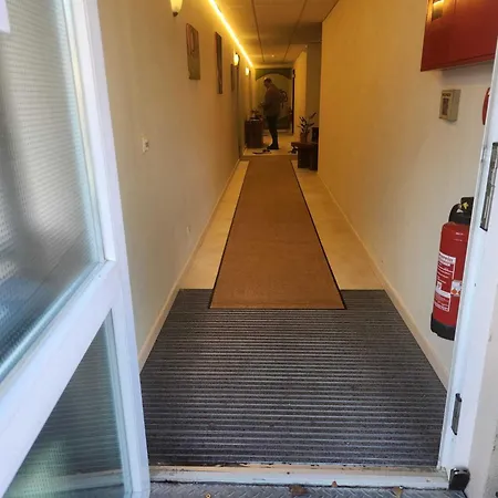 莱门公园酒店 4*