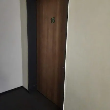 ホテル パークホテル 4*