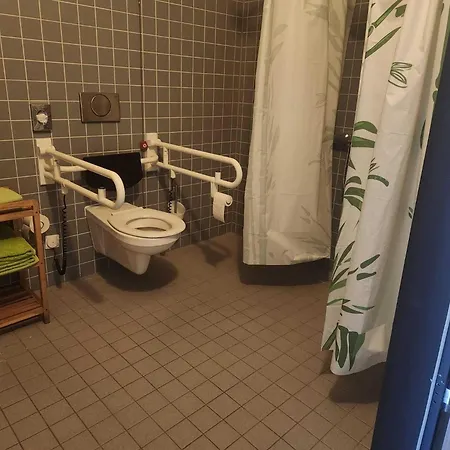 莱门公园酒店 4* 莱门